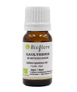 Gaulthérie odorante (gaultheria fragrantissima)